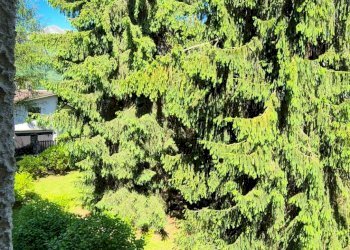 Foto 29 - Trilocale via roma, Barzio - foto 29