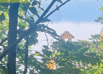 Foto 1 - Terreno edificabile SP639, Pusiano - foto 1