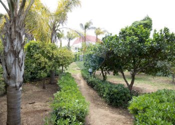 Giardino - Villa contrada santa venera
 
18, Marsala - foto 58