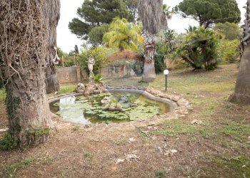 Giardino - Villa contrada santa venera
 
18, Marsala - foto 61