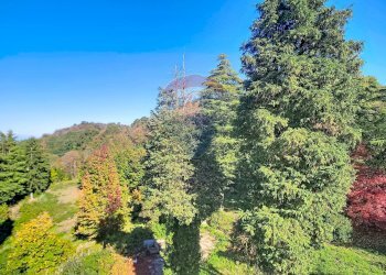 Non correlato - Stable - Palace Via Cicogna Pirio
 
11, Teolo - photo 31