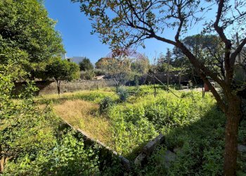 Giardino - Rustico Via G. Fiordelisi
 
7, Sirignano - foto 14