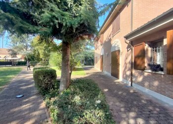 Giardino - Attività Commerciale via canapa
 
62, Ferrara - foto 4