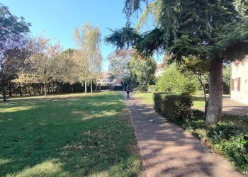 Giardino - Attività Commerciale via canapa
 
62, Ferrara - foto 5