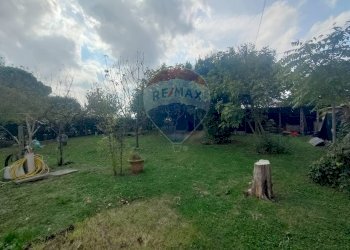 Giardino - Casa indipendente strada leona
 
7, Jolanda di Savoia - foto 13