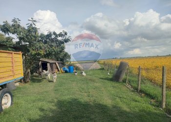 Giardino - Casa indipendente strada leona
 
10, Jolanda di Savoia - foto 7