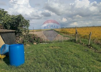 Giardino - Casa indipendente strada leona
 
10, Jolanda di Savoia - foto 9