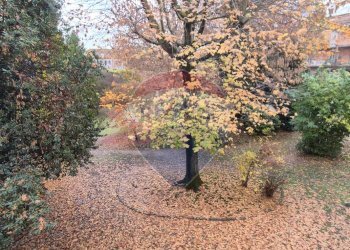 Giardino - Appartamento Via XX settembre
 
54, Ferrara - foto 35