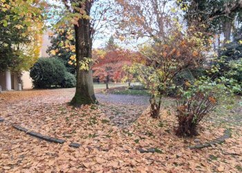 Giardino - Appartamento Via XX settembre
 
54, Ferrara - foto 36