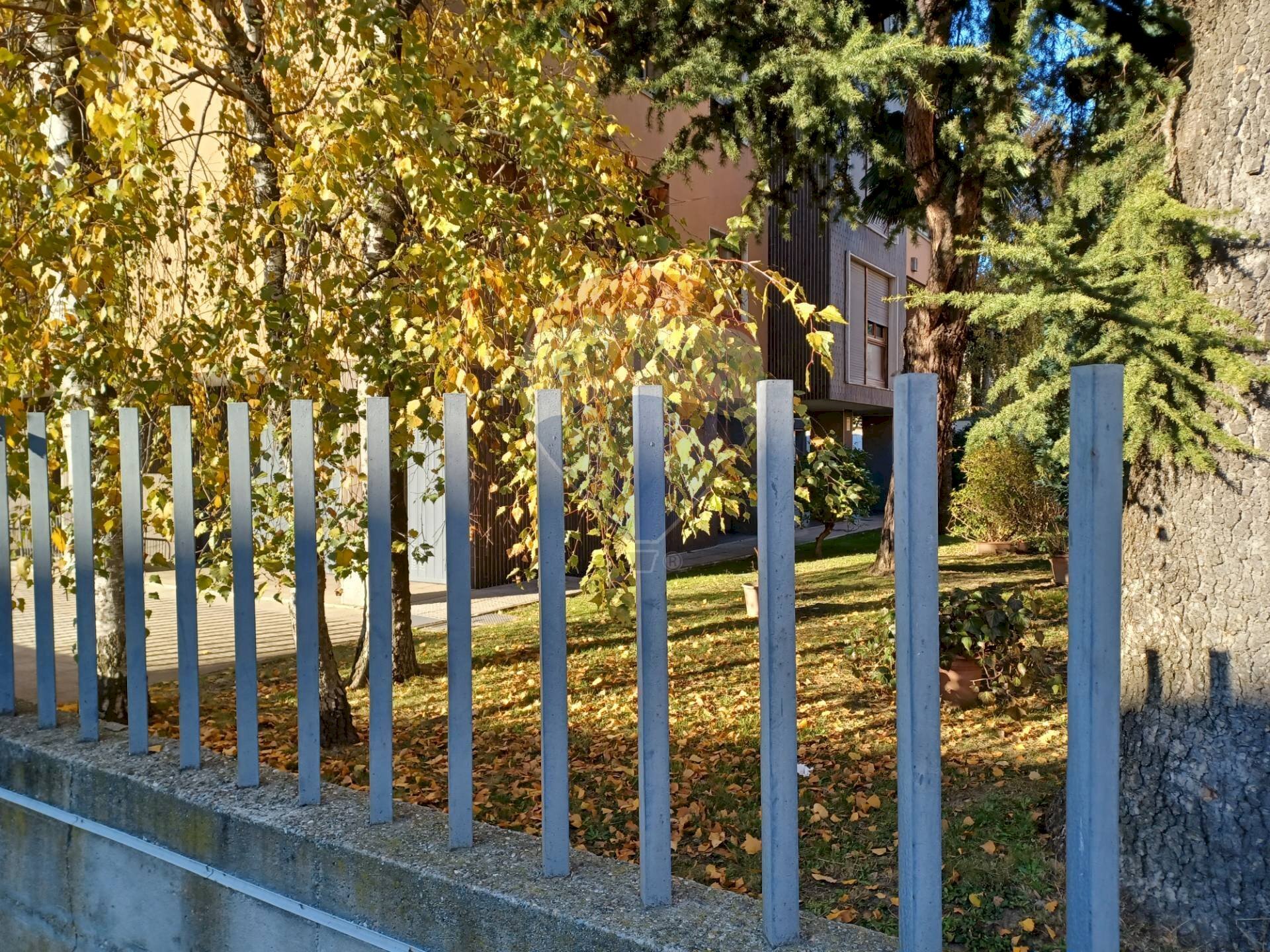 particolare del giardino condominiale - Appartamento via San Giulio
 
4, Novara - foto 2