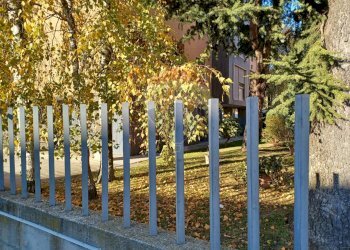 particolare del giardino condominiale - Appartamento via San Giulio
 
4, Novara - foto 2