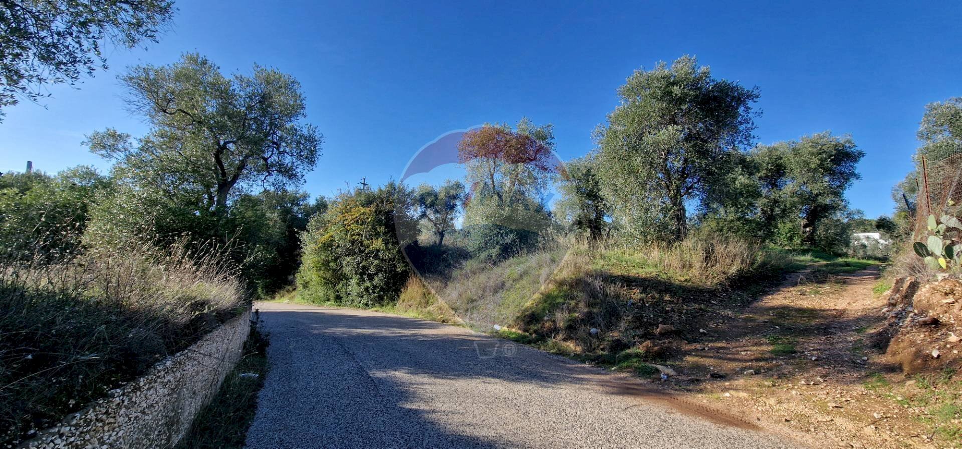 Non correlato - Terreno agricolo Località Reginella
 
SNC, Vieste - foto 1