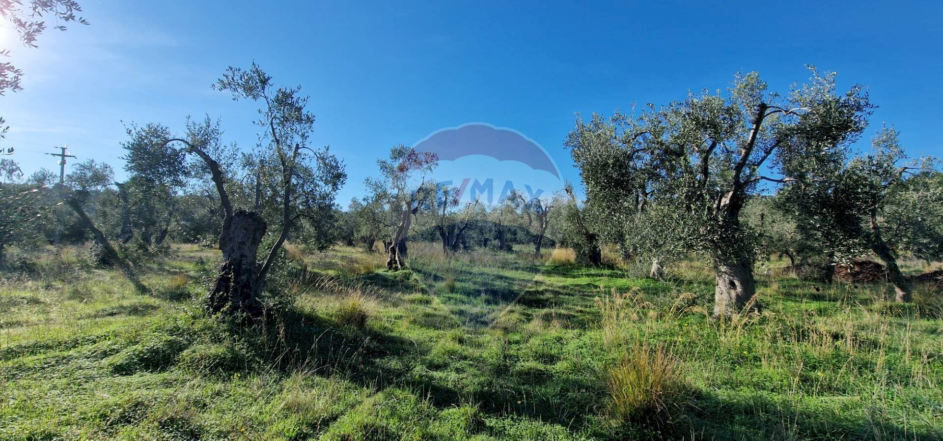 Giardino - Terreno agricolo Località Reginella
SNC, Vieste - foto 2