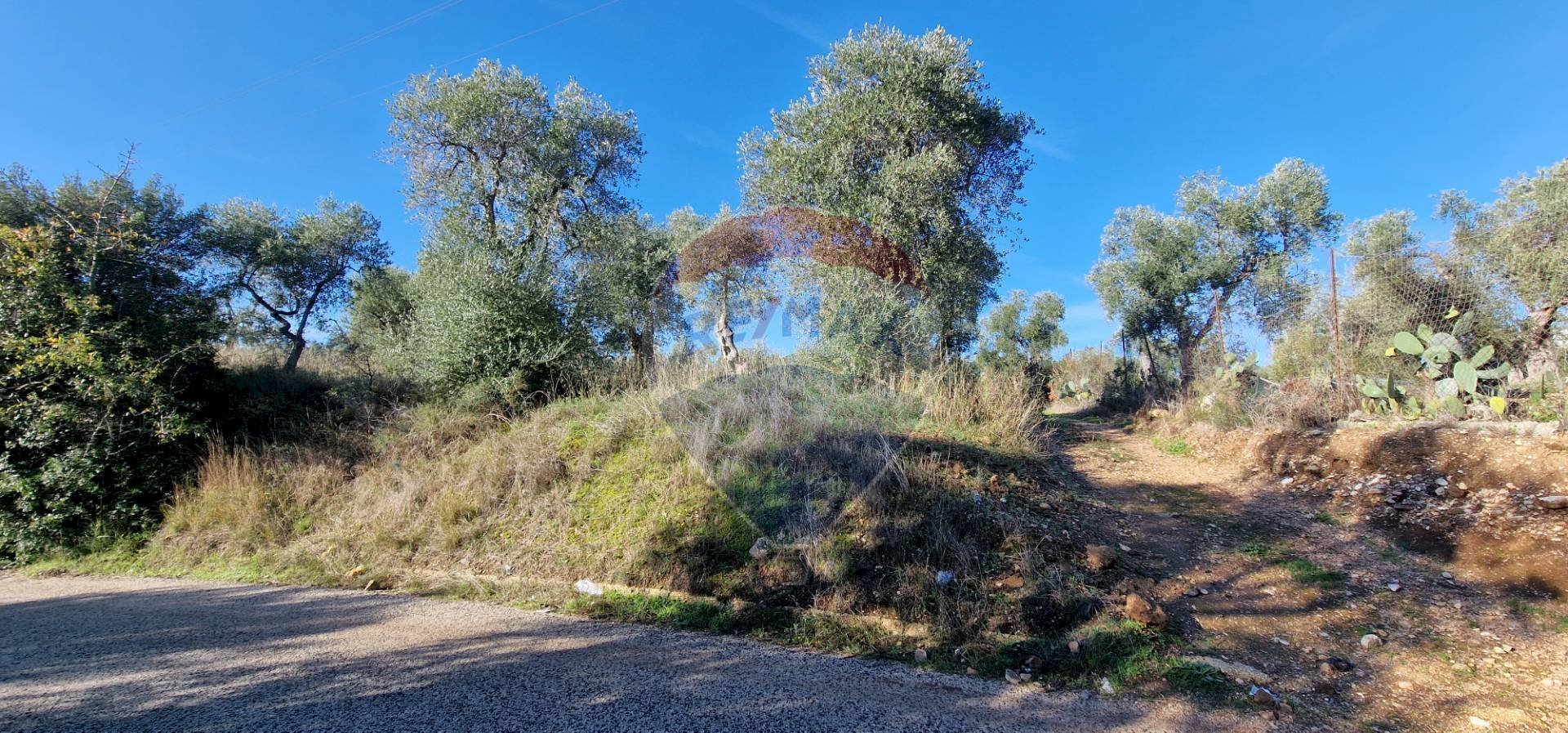 Non correlato - Terreno agricolo Località Reginella
SNC, Vieste - foto 3