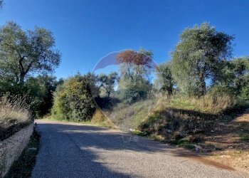 Non correlato - Terreno agricolo Località Reginella
 
SNC, Vieste - foto 1
