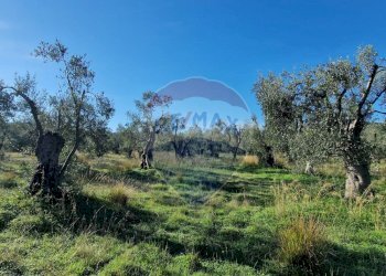 Giardino - Terreno agricolo Località Reginella
 
SNC, Vieste - foto 2