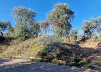 Non correlato - Terreno agricolo Località Reginella
 
SNC, Vieste - foto 3