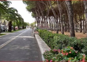 Foto 4 - Attico Carrara - foto 4