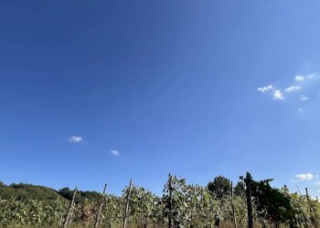 Foto 8 - Rustico Rivalta Bormida, Rivalta Bormida - foto 8