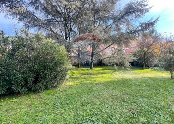 Giardino - Trilocale VIA MARCO D'AGRATE
 
36, Monza - foto 31