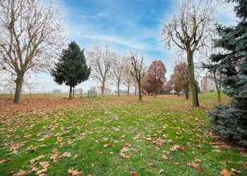 Foto 19 - Quadrilocale Via Antonio Gramsci
 
69, Borgaro Torinese - foto 19