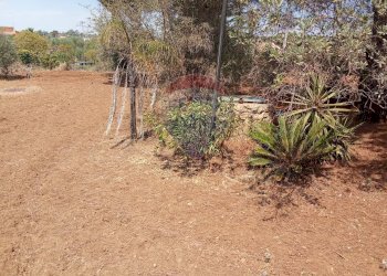 Giardino - Casa indipendente Niscemi - foto 17