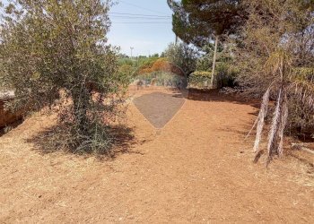 Giardino - Casa indipendente Niscemi - foto 25