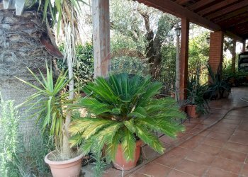 Giardino - Casa indipendente Niscemi - foto 31