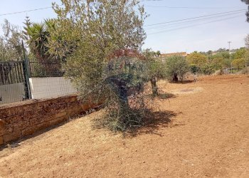 Giardino - Casa indipendente Niscemi - foto 36