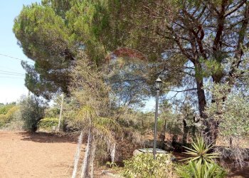 Giardino - Casa indipendente Niscemi - foto 46