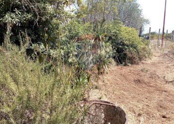 Giardino - Casa indipendente Niscemi - foto 56