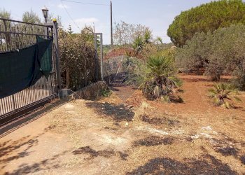 Giardino - Casa indipendente Niscemi - foto 57