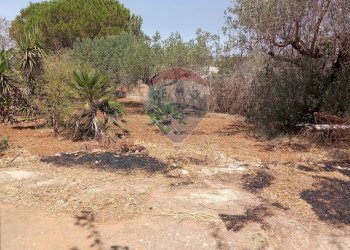 Giardino - Casa indipendente Niscemi - foto 60