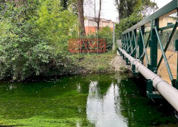 Foto 50 - Apartment Treviso - photo 50