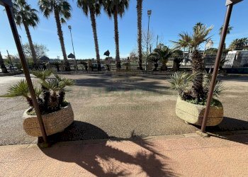 Foto 8 - Locale Commerciale Strada Statale, Eboli - foto 8