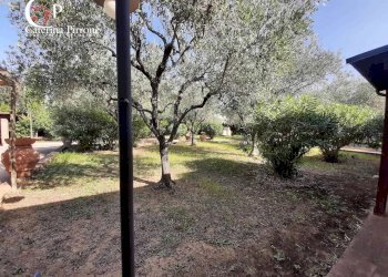 Foto 6 - Villa piazza della Libertà
 
10, Cecina - foto 6