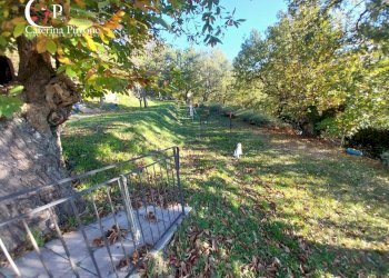 Foto 18 - Villa via Poggio alla Cuna
 
snc, Londa - foto 18