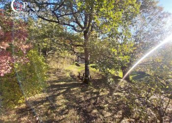 Foto 19 - Villa via Poggio alla Cuna
 
snc, Londa - foto 19