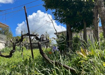 giardino - Casa indipendente 9/11, Acquasanta Terme - foto 29