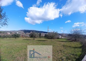 Foto 3 - Terreno edificabile Contrada Olivola, Benevento - foto 3