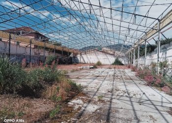 Foto 4 - Capannone via sardorella, Genova - foto 4