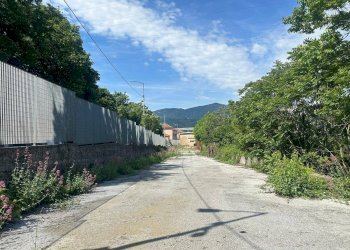 Foto 13 - Capannone via sardorella, Genova - foto 13