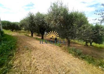 Foto 8 - Rustic contrada spiagge
 
snc, Monteprandone - photo 8