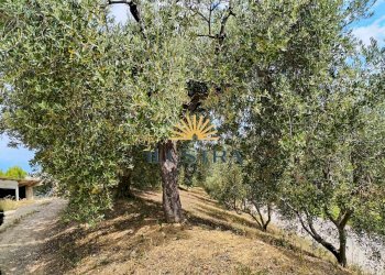 Foto 25 - Casa indipendente contrada spiagge
 
snc, Monteprandone - foto 22