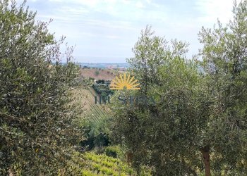 Foto 53 - Casa indipendente contrada spiagge
 
snc, Monteprandone - foto 50