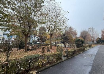 Zona - Appartamento via degli Ulivi, 78, Torino (zona Falchera) - foto 5