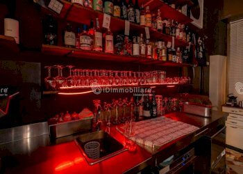 Interno non residenziale - Ristorante via Pisa, 39, Torino (zona Aurora) - foto 16