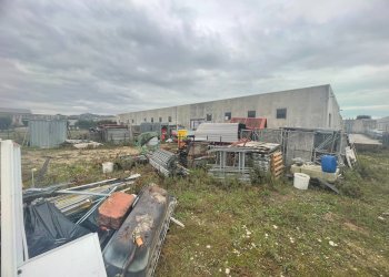 Foto 12 - Capannone Via Del Lavoro, Monteprandone - foto 12