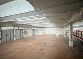 Interno non residenziale - Warehouse via Priula, Nervesa della Battaglia - photo 19