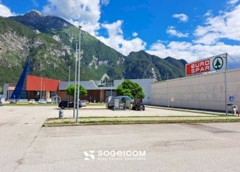Zona - Negozio viale Valli di Carnia, 7, Amaro - foto 7